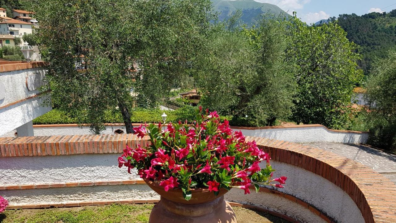 فيلا Casa Vittoria Corsanico-Bargecchia المظهر الخارجي الصورة